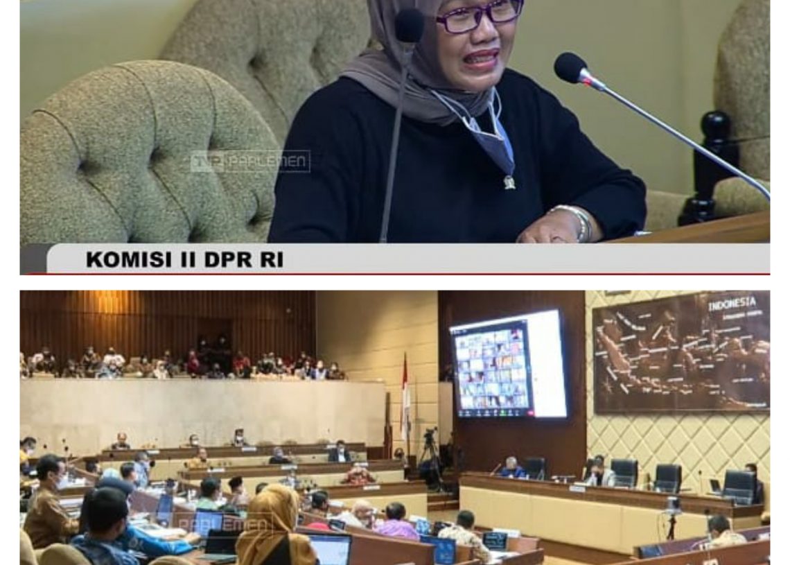 Rapat Kerja dengan Metri PAN-RB. Ini yang Disampaikan Dian Istiqomah DPR RI Fraksi PAN
