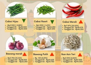 Awal Tahun, Harga Komoditas Pangan di Kota Padang Panjang Relatif Stabil