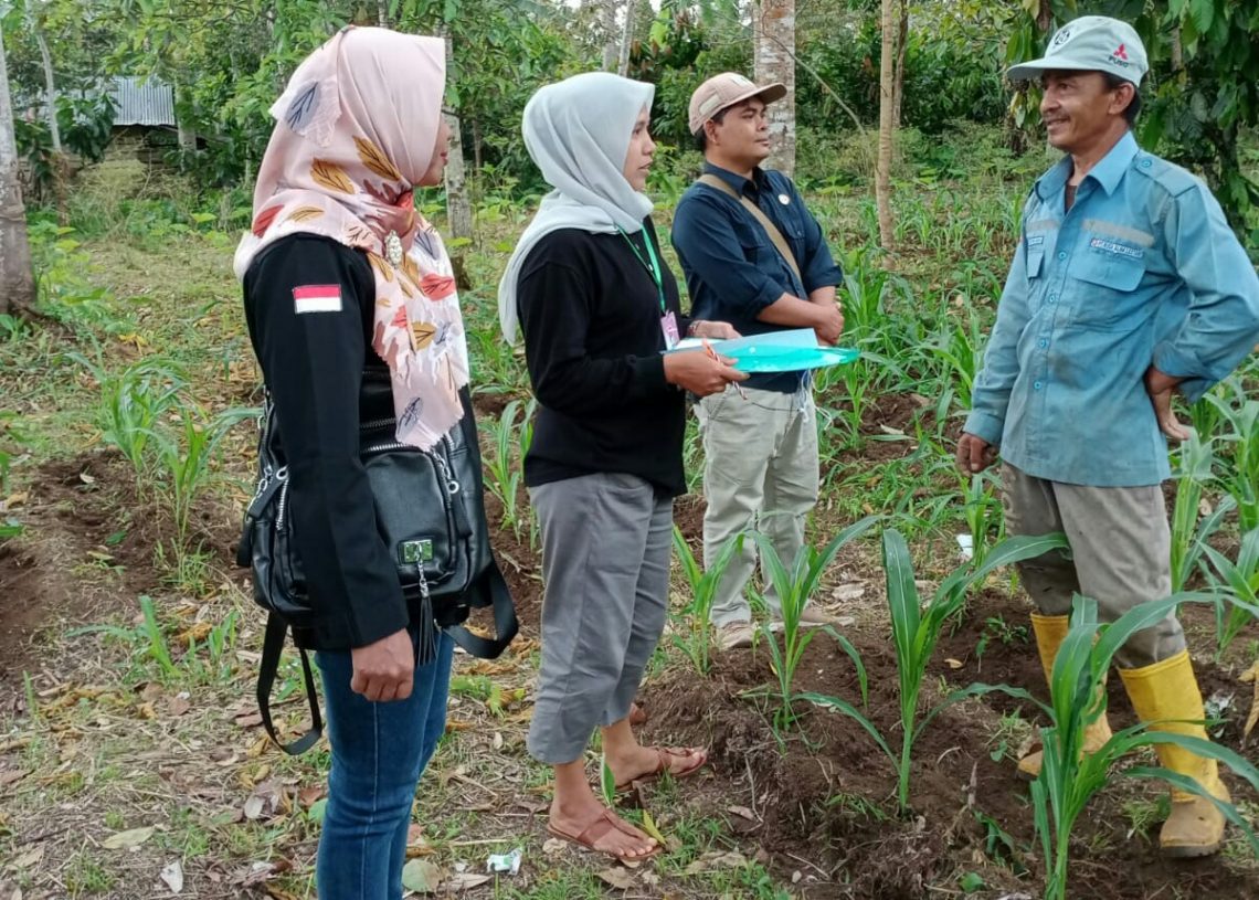 Panwascam Sungayang Awasi Proses Verfak Calon Anggota DPD RI