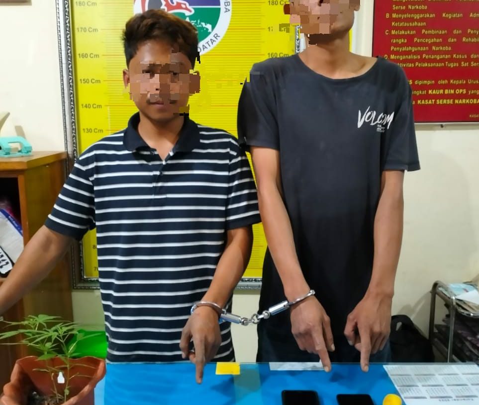 Pengguna dan Pengedar 20 Paket Ganja Ditangkap Sat Res Narkoba Polres Tanah Datar
