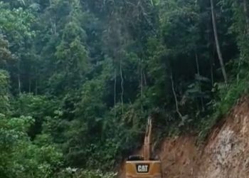 Hutan Produksi Terbatas Dibabat Alat Berat, Ka. UPTD KPHP Dharmasraya Unit VIII Bersilat Lidah