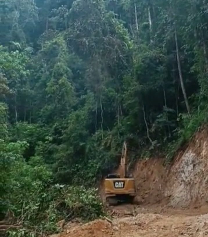 Hutan Produksi Terbatas Dibabat Alat Berat, Ka. UPTD KPHP Dharmasraya Unit VIII Bersilat Lidah