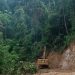 Hutan Produksi Terbatas Dibabat Alat Berat, Ka. UPTD KPHP Dharmasraya Unit VIII Bersilat Lidah
