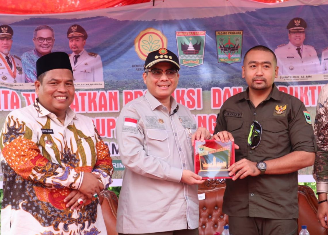 Wujudkan Akselerasi Ketahanan Pangan, Wamentan Tanam Padi dan Panen Jagung di Padang Pariaman