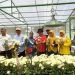 Sekjen Hortikultura Kunker ke Kota Solok