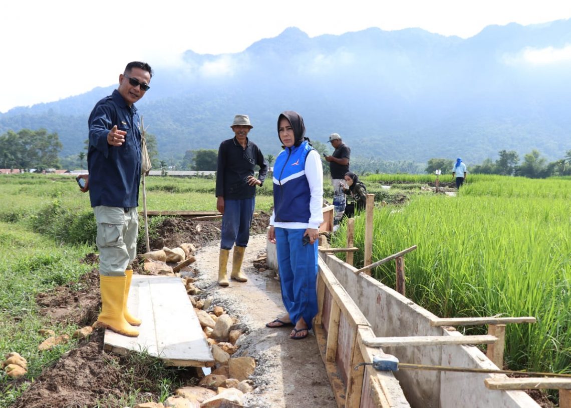 Meski Bukan di Komisinya, Rezka Oktoberia Bawa Program Kementrian PUPR ke Kampung Halaman