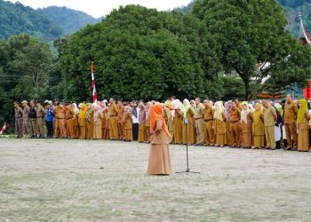 Kadis Kominfo Kab. Solok Apresiasi Jajaran Pemda yang Berpartisipasi Meriahkan HUT RI ke-78