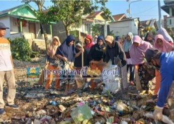 World Clean Up Day Tahun 2023, Pemkab Pesisir Barat Gelar Aksi Bersih-bersih Sampah