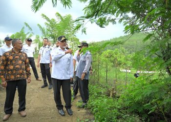 Gubernur Tinjau Lokasi Rencana Pembangunan Jalan Penghubung Akabiluru – Tilatang Kamang