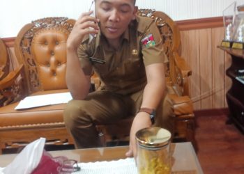 Kadis Pariwisata : Setiap Iven Beri Dampak Positif Bagi Pariwisata Bukittinggi