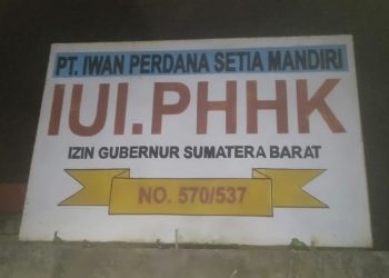 Perusahaan Sawmill PT. Iwan Perdana Setia Disinyalir Kelabui Perizinan, Tadah Kayu Ilegal