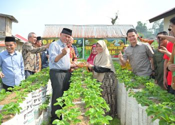 Gubernur Mahyeldi Terus Pacu Aktivitas Pertanian Organik