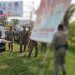 Bawaslu Padang Pariaman Bersama Tim Gabungan Tertibkan APK/APS Legislatif yang Melanggar