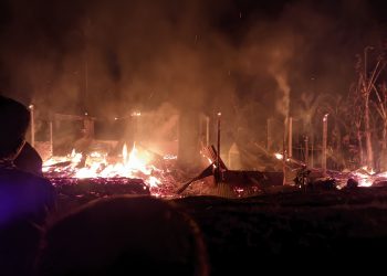 Diduga Lalai Matikan Kompor, 3 Unit Rumah di Sungai Beremas Kabupaten Pasaman Dilalap Sijago Merah