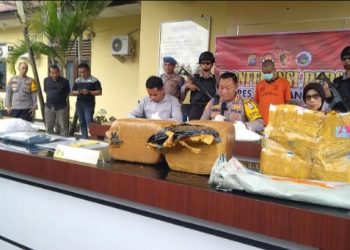 Polres Pasbar Gagalkan Penyeludupan Ganja Kering Seberat 12 Kg yang Dikirim Melalui Ekspedisi