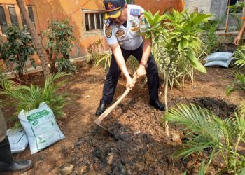 Peduli Lingkungan Dampak Pemanasan Global dan Polusi Udara, Kater Kalideres Lakukan Tanam Pohon Produktif