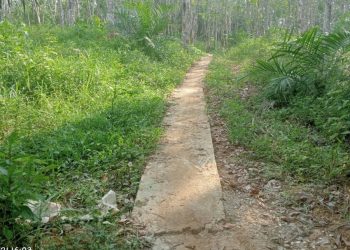 Kades Petiduran Baru Akui Bangun Jalan di Kabupaten Tetangga, Malah Tantang Pihak Berwenang