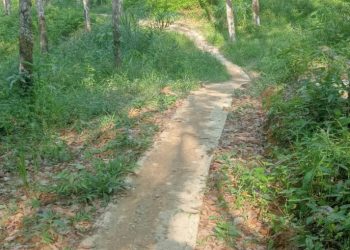 Usai Tantang Pihak Berwenang, Whatsapp Kades Petiduran Tak Aktif