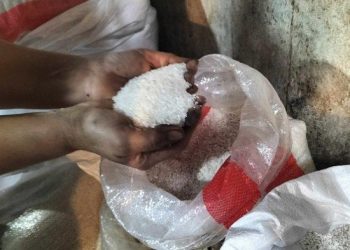 Di Kota Pariaman Harga Beras Naik Capai Harga Rp19.500 per Kilogram