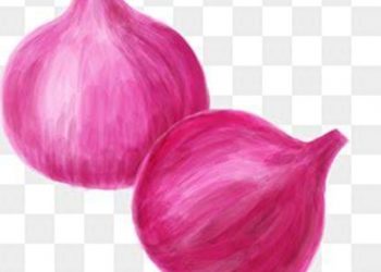 Emak-emak Menjerit, Harga Bawang Merah Tembus 80 Ribu Perkilo