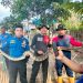 Ular Besar Gegerkan Warga Nagari Taram