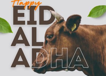 H. Ginno Irwan Owner Griya Elok Townhouse Potong 2 Hewan Kurban