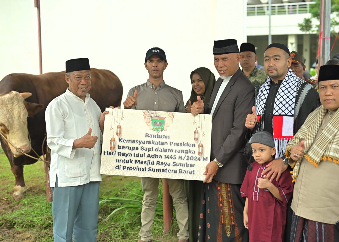 Gubernur Mahyeldi Serahkan Sapi Qurban Presiden RI serta 78 Ekor Sapi Qurban ASN dan BUMD