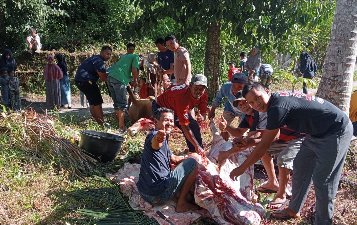 Distribusi Meningkat, Jemaah Mushola Nurul Falah Naras I Potong 3 Ekor Hewan Kurban
