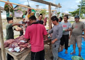 Hari Raya Idhul Adha, Jamaah Masjid Jami Babussalam Hanakau, Distribusikan 450 Paket Daging Qurban