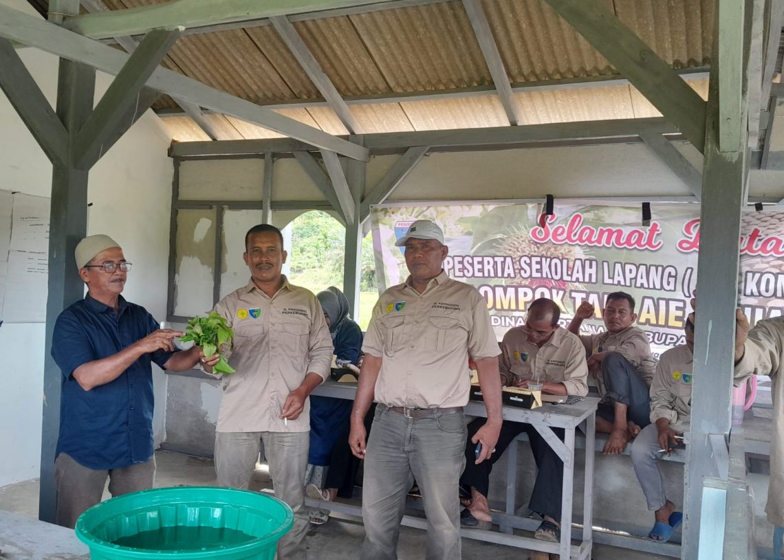 Asyik! Ada Sekolah Lapang Pembuatan Biosaka, BPP Sutera Sudirman : Inovasi Pertanian