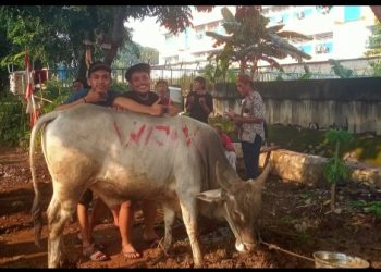 Wijaya Group Peringati Idul Adha dengan Berbagi Hewan Kurban ke Warga Sekitar