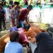 Bupati Tanah Datar dan Keluarga Kurban Satu Ekor Sapi