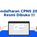 Intip Formasi dan Jadwalnya, BKPSDM Sarolangun Segera Umumkan Seleksi Penerimaan CPNS 2024