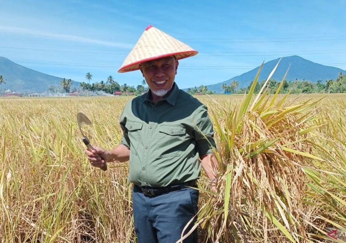 Dipimpin Mahyeldi, Sektor Pertanian Sumbar Tumbuh Pesat