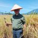 Dipimpin Mahyeldi, Sektor Pertanian Sumbar Tumbuh Pesat