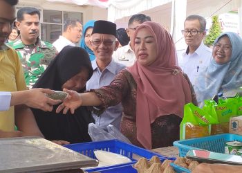 Gerakan Pangan Murah di Tanah Datar, Upaya Menekan Inflasi dan Tingkatkan Daya Beli Masyarakat