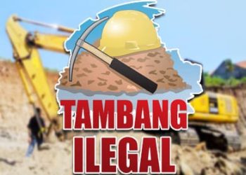 Aktivitas Tambang Emas Ilegal Kian Marak di Tomang Pasbar, Puluhan Alat Berat Beroperasi Tiap Hari