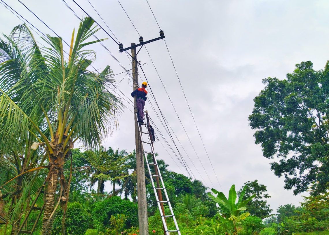 Jaga Stabilitas Jaringan Internet Fiber Optik, PLN Icon Plus Sumbagteng Lakukan Pemeliharaan di Daerah Kampar