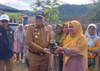 Jaga Ketahanan Pangan, Pemko Padang Salurkan Bantuan Sarana Prasarana KRPL dan Bibit Buah