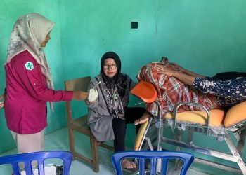 Dinkes Pessel Lakukan Pemeriksaan Inveksi IVA dan Sadanis pada Ibu-ibu Muda