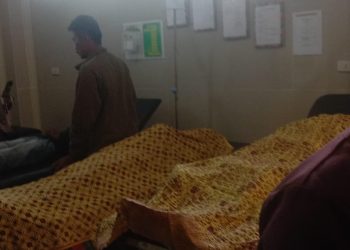 Diduga Tersengat Arus Listrik, Dua Warga Lumbok Seminung Merenggang Nyawa