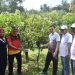 Pj Walikota Sawahlunto Tinjau Kebun Buah Agroeduwisata Kandi