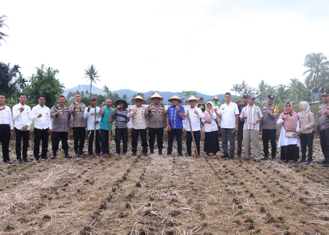 Dukung Program Ketahanan Pangan Nasional, Pemko Siapkan 20 Hektare Lahan