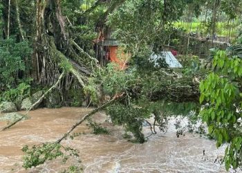 Diterpa Hujan Lebat dan Angin Kencang, Destinasi Ikonik Jembatan Akar Ditutup Sementara