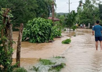 Delapan Nagari Terendam Banjir, BPBD Pessel Data Seribu Rumah Warga Terdampak