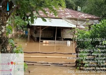 Per 3 Desember 2024, BPBD Pessel Sebut 34 Nagari Terdampak Banjir