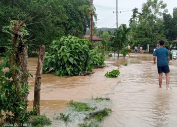 Prediksi Cuaca Ekstrim, BPBD Pessel Imbau Masyarakat Perhatikan Peringatan Dini BMKG 