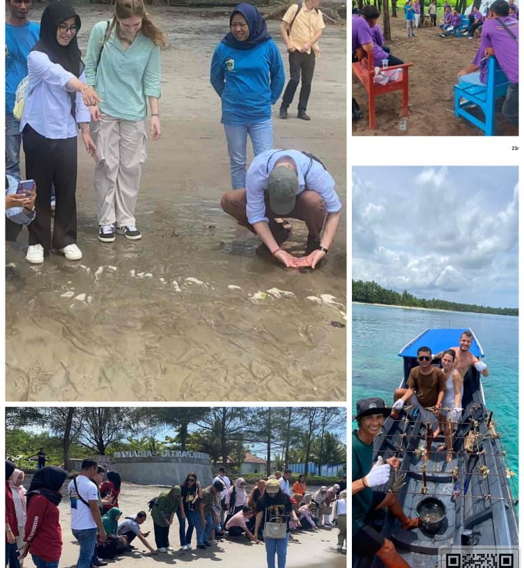Kegiatan Konservasi Penyu di Pantai Penyu KKPD Pariaman