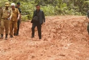 Pj Bupati Bahri Tinjau Jalan Rusak Penghubung Enam Desa di Kecamatan Limun, PUPR Segera Perbaiki