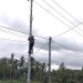 PLN Icon Plus Sumbagteng Fokus pada Pemeliharaan Jaringan untuk Jaga Kepuasan Pelanggan di Solok